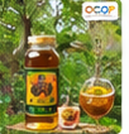 Mật ong hoa cà phê